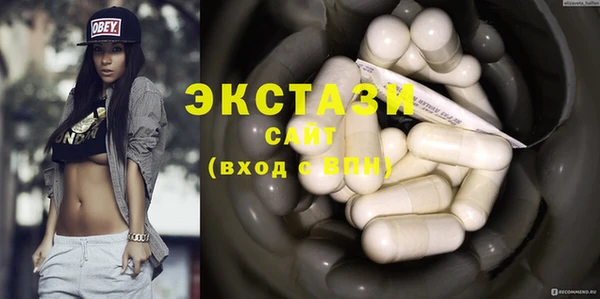 ECSTASY Богородицк