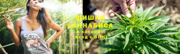 ECSTASY Богородицк